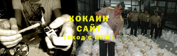 сатива Михайлов