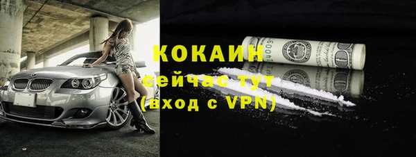 сатива Михайлов