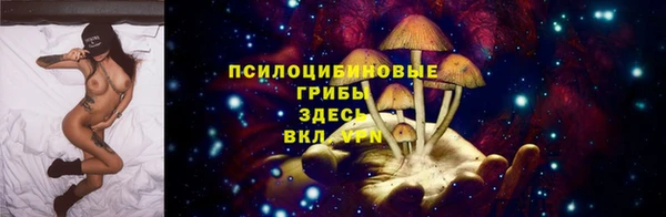 стаф Михайловка