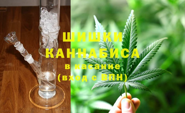 сатива Михайлов
