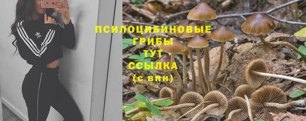 стаф Михайловка