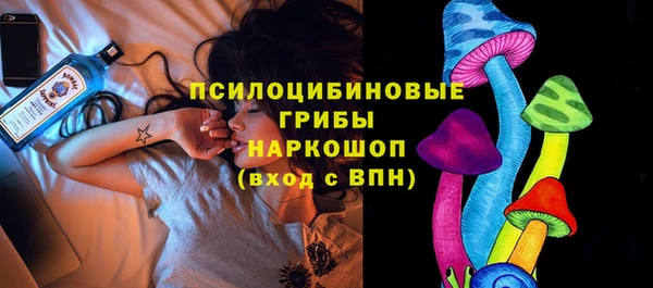 сатива Михайлов