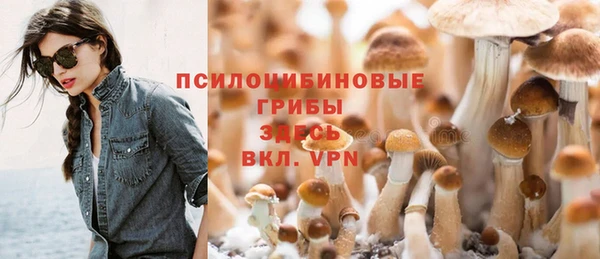 сатива Михайлов